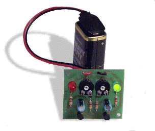 Flashing LEDs Electronic Kit